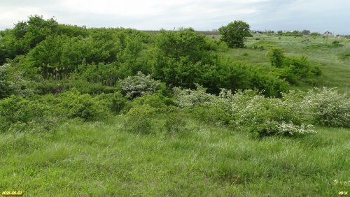 Перспективная ООПТ Гарькавые балки
