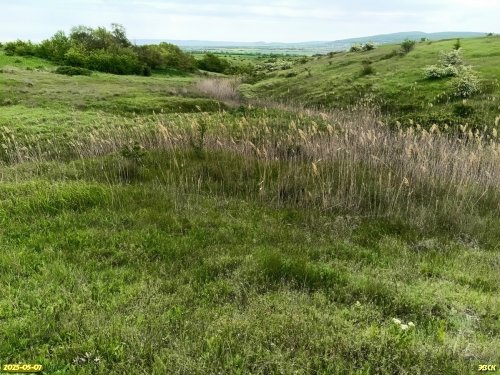 Перспективная ООПТ Гарькавые балки