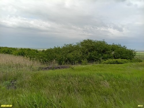 Перспективная ООПТ Гарькавые балки