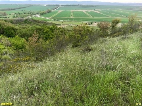 Перспективная ООПТ Куматырская гора