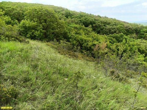 Перспективная ООПТ Куматырская гора