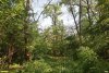 Перспективная ООПТ Добреньковский лес
