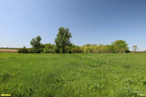 Перспективная ООПТ Знаменская роща