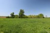 Перспективная ООПТ Знаменская роща