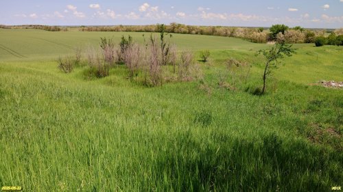 Перспективная ООПТ Копаньский курган