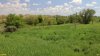 Перспективная ООПТ Копаньский курган