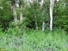 Перспективная ООПТ Южно-Кущёвская роща