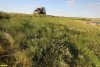 Перспективная ООПТ Шкуринский сухой склон реки Ея