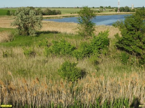 Перспективная ООПТ Шкуринский сухой склон реки Ея
