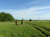 Обследование перспективной ООПТ Маслиновая роща с участком степи