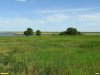 Перспективная ООПТ Луга и перелесья возле хутора Красный