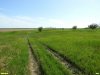 Перспективная ООПТ Луга и перелесья возле хутора Красный