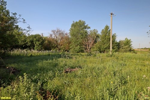 Перспективная ООПТ Подкущёвская роща