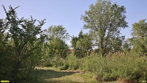 Перспективная ООПТ Подкущёвская роща