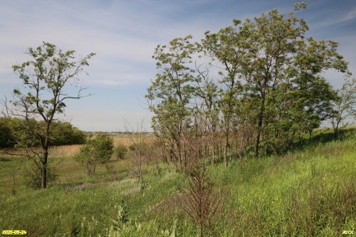 Перспективная ООПТ Крыловецкая балка
