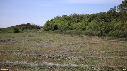 Перспективная ООПТ Кугоейская роща