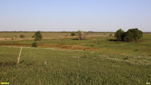 Перспективная ООПТ Балка Желтоножка