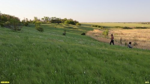 Обследование перспективной ООПТ Балка Желтоножка
