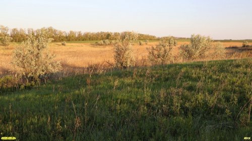 Перспективная ООПТ Балка Желтоножка