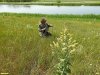 Координатор ЭВСК А.Рудомаха на обследовании перспективной ООПТ Боевский берег Еи