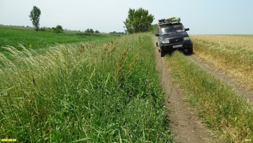 Окраина перспективной ООПТ Участки степи в Водяной балке