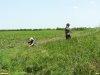 Обследование перспективной ООПТ Курган Мундирка
