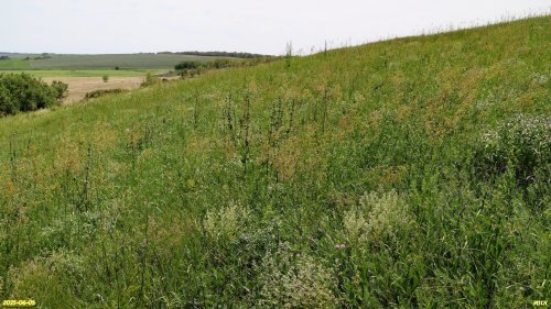 Перспективная ООПТ Степь в устье Водяной балки