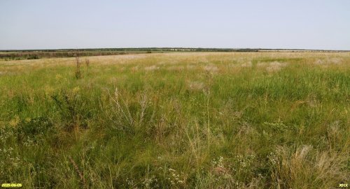 Перспективная ООПТ Северная Крутобалковская степь