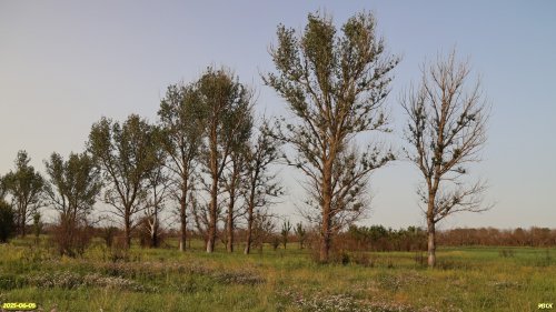 Перспективная ООПТ Северная Крутобалковская степь