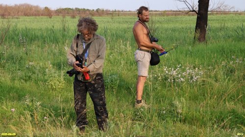 Определение видов растений в перспективной ООПТ Северная Крутобалковская степь