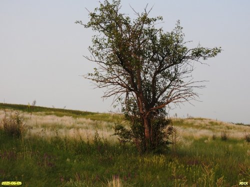 Перспективная ООПТ Глиняная балка