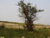 Перспективная ООПТ Глиняная балка