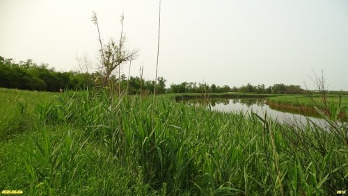 Перспективная ООПТ Урочище Муган