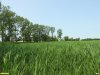 Перспективная ООПТ Урочище Кочисуры