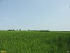 Перспективная ООПТ Урочище Кочисуры