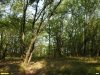 Перспективная ООПТ Незамаевский берег Еи