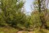 Перспективная ООПТ Незамаевский берег Еи