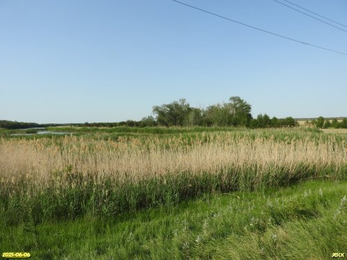Перспективная ООПТ Незамаевский берег Еи