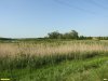 Перспективная ООПТ Незамаевский берег Еи