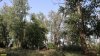 Перспективная ООПТ Зубов сад (корректировка)