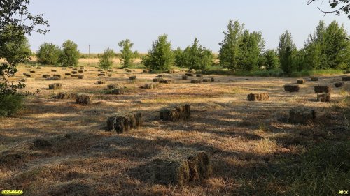 Перспективная ООПТ Зубов сад (корректировка)