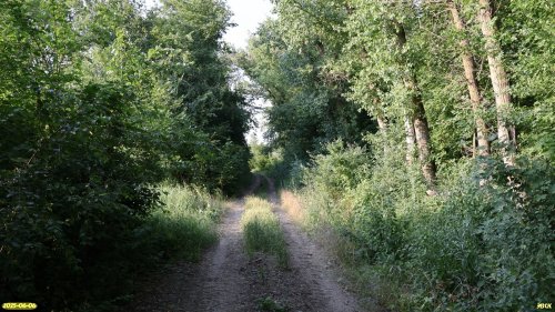 Перспективная ООПТ Веселовский лес
