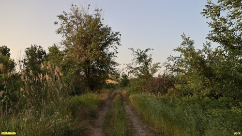 Перспективная ООПТ Веселовский лес