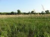 Перспективная ООПТ Первый Ейско-Крыловской луг