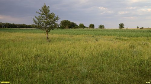 Перспективная ООПТ Второй Ейско-Крыловской луг  