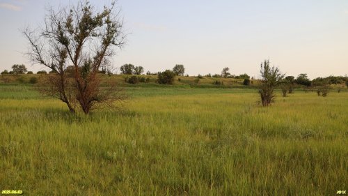 Перспективная ООПТ Второй Ейско-Крыловской луг  
