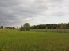 Перспективная ООПТ Третий Ейско-Крыловской луг