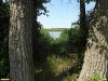 Перспективная ООПТ Урочище Причтовое