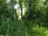 Перспективная ООПТ Урочище Причтовое