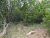 Перспективная ООПТ Урочище Казачье-Ейское